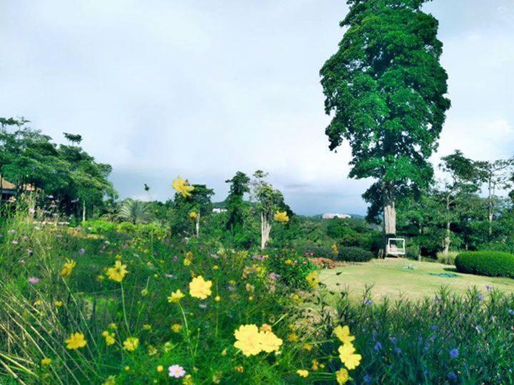 Arayana Phupimarn Resort & Spa Pak Chong Екстериор снимка