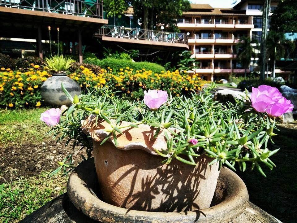 Arayana Phupimarn Resort & Spa Pak Chong Екстериор снимка